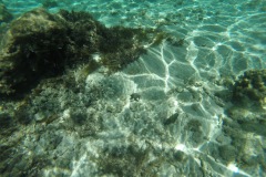 DCIM\100GOPRO