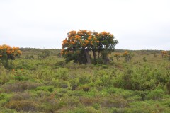 100_0609