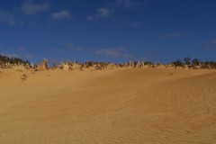 100_0696