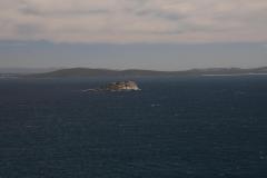 IMG_7347