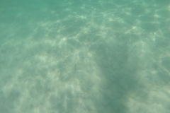 DCIM\100GOPRO