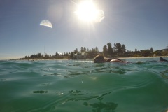 DCIM\100GOPRO
