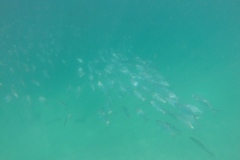 DCIM\100GOPRO