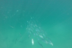 DCIM\100GOPRO