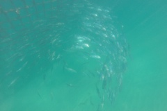 DCIM\100GOPRO