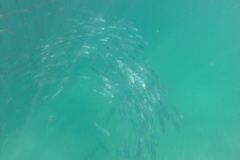DCIM\100GOPRO