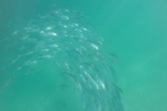 DCIM\100GOPRO