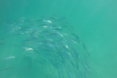 DCIM\100GOPRO