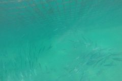 DCIM\100GOPRO