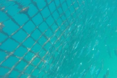 DCIM\100GOPRO