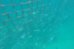 DCIM\100GOPRO