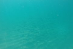 DCIM\100GOPRO