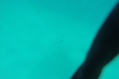 DCIM\100GOPRO