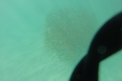 DCIM\100GOPRO