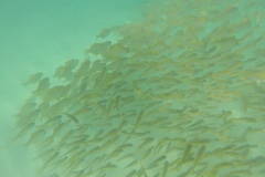 DCIM\100GOPRO