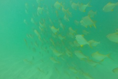 DCIM\100GOPRO
