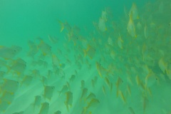 DCIM\100GOPRO