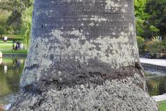 DSCN2529