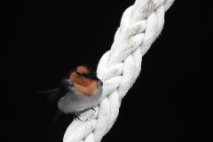 DSCN2427