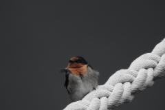 DSCN2458