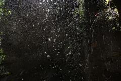 DSCN2102