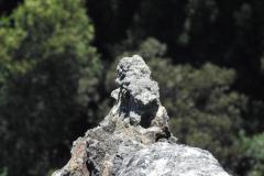 DSCN2156