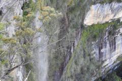 DSCN2174
