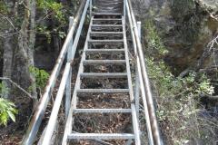 DSCN2204