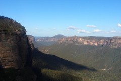 view-new