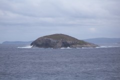 100_1051