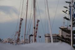IMG_9681