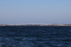 IMG_9769