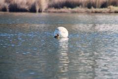 IMG_0071