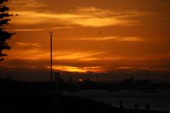 IMG_7599