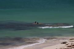 IMG_7637