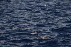 IMG_8030