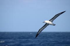 IMG_8187