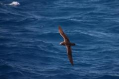 IMG_8711