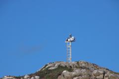 IMG_9196