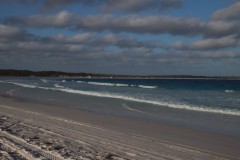 IMG_9275