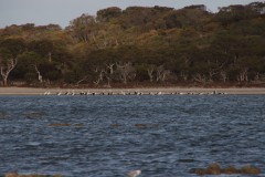 IMG_9301