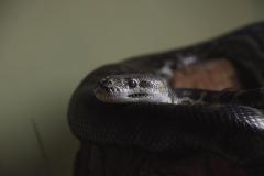 IMG_9467