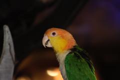 IMG_9473