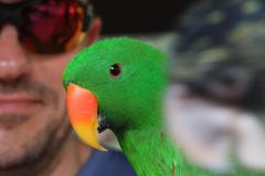 IMG_9486