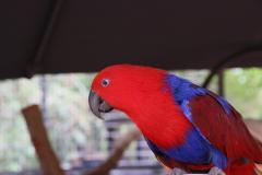 IMG_9502