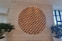 20250211_113350