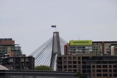 IMG_0390