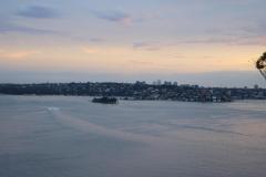 IMG_0550