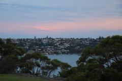 IMG_0552