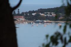 IMG_0613